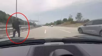 Bursa'da Yaya Otoyolda Kurtarıldı