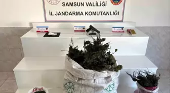 Bafra'da Uyuşturucu ve Silah Operasyonu: 1 Gözaltı