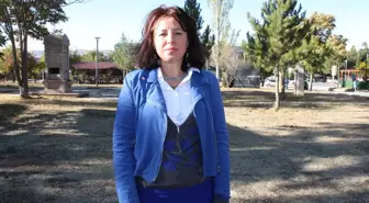 Köpeğe Şiddet Uygulayan Sanığa Hapis Cezası