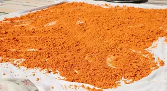 Sındırgı'da Kadınlar İmeceyle Tarhana Yapıyor