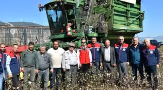 Söke Pamuğu'nun Hasat Dönemi Devam Ediyor