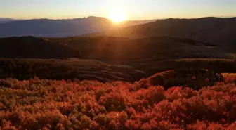 Sonbahar Renk Cümbüşü Doğu'da Görücüye Çıktı