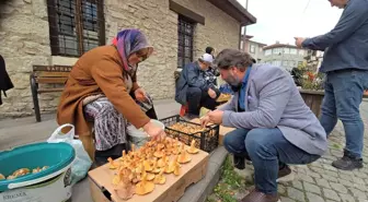 Safranbolu'da Kanlıca Mantarına Büyük İlgi