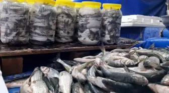 Van Gölü'nün İnci Kefali Tezgahları Şenlendiriyor