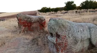 Darende'deki 4 Bin Yıllık Aslantaş Heykellerinin Taşınmasına İtiraz
