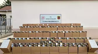 Antalya'da Kaçak Tütün Operasyonu: 5 Milyon Makaron Ele Geçirildi