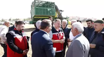 Diyarbakır'ın Bismil ilçesinde pamuk hasat sezonu başladı