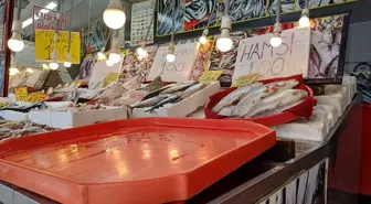 Karabük'te Hamsi Fiyatları 100 Liraya Düştü