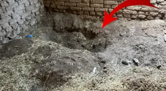 Eskişehir'de 14 yıllık cinayet çözüldü! Kardeşi öldürüp gömmüş