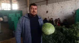 Bursa'nın Yenişehir İlçesinde Kışlık Hasat Başladı