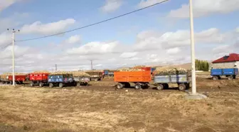 Muş'ta 2025 Şeker Pancarı Alım Sezonu Tüm Hızıyla Devam Ediyor