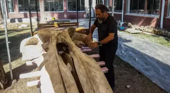 Mersin'de Fin Balinasının İskeleti Müze İçin Hazırlanıyor