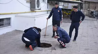 Siverek'te İtfaiye Ekipleri Mahsur Kalan Kedi Yavrusunu Kurtardı