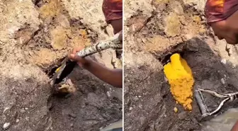 Şansın böylesi: Küreği vurduğu yerden altın fışkırdı