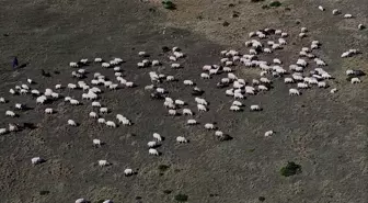 Zigana Dağı'nda Sonbahar Renkleri ve Besicilerin Zorluğu