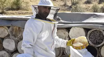 Bitlis'te Kara Kovan Balı Hasadı Başladı
