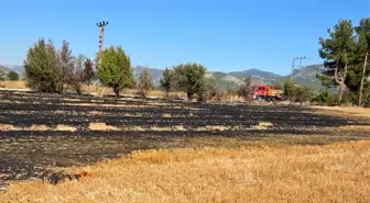 Bucak'ta Otluk Yangını Kontrol Altına Alındı