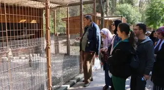 Sakarya'da Özel Gereksinimli Bireylere Engelsiz Hobi Atölyeleri ve Basketbol Maçı