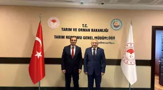 Salihli'de Tarım Organize Sanayi Bölgesi Çalışmaları Devam Ediyor