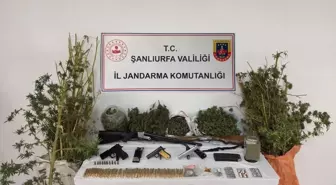 Şanlıurfa'da Uyuşturucu ve Silah Kaçakçılığı Operasyonu: 3 Gözaltı