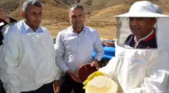 Siirt'te Organik Karakovan Balı Hasadı Yapıldı