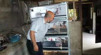Engelli Çocuklarına ve Ailesine Destek Olmak İçin Tavuk Çiftliği Kurdu
