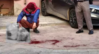 Denizli'de Kardeşler Arasındaki Kavga Sokağa Taşındı