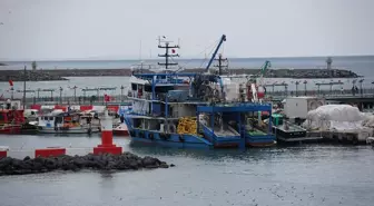 Tekirdağlı Balıkçılar Poyraz Nedeniyle 2 Gün Ava Çıkamadı