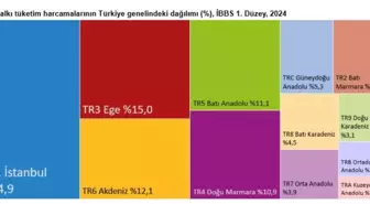 2024'te Hanehalkı Tüketim Harcamalarının Dağılımı Açıklandı