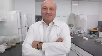 Türkiye'yi saran kokarca kabusu için korkutan değerlendirme: Yok etme şansımız yok