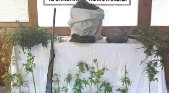 Mersin'de Yasadışı Kenevir Ekimine Operasyon: 4 Kilo Esrar Ele Geçirildi