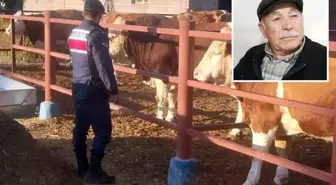 Yaşlı adam, beslediği hayvan tarafından öldürüldü