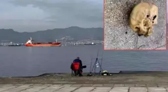 Balık tutarken dehşeti yaşadı: Oltaya insan kafatası takıldı