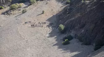 Diyarbakır'da Kral Yolu Yürüyüşü ve Nar Festivali Düzenlendi