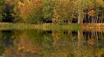 Düzce'deki Korugöl Tabiat Parkı Sonbahar Güzellikleriyle Ziyaretçilerini Ağırlıyor