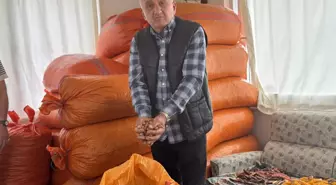 Fındık Üreticileri Fiyatların Artmasını Bekliyor