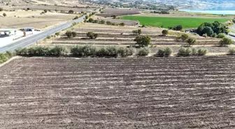 Fransız Tarımcı Tunceli'de Sera Kuruyor