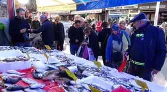 Hamsinin Fiyatı 100 TL'ye Düşünce Kapış Kapış Satıldı