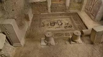 İş Bankası'ndan Muzalar Evi'ne koruma desteği