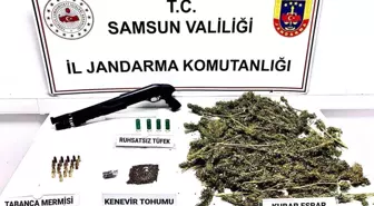 Samsun'da Uyuşturucu Operasyonu: 2 Kilo Esrar ve Silah Ele Geçirildi