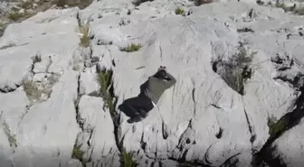 Eğirdir'de Dronla Kaçak Avcı Yakalandı