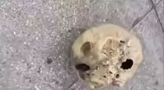 İzmir'de Amatör Balıkçının Oltasına İnsan Kafatası Takıldı