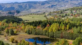 Artvin'in Sakin Şehri Şavşat, Sonbaharda Renk Cümbüşü Sunuyor