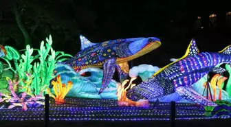 Budapeşte'de Dünya Hayvanları Çin Fener Festivali Yoğun İlgi Gördü