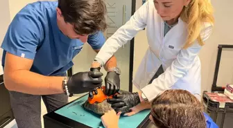 Ankara'da Kabuğu Kırılan Kaplumbağaya 3 Boyutlu Protez Takıldı