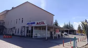 Kahramanmaraş'ta arı sokması sonucu 9 yaşındaki kız çocuğu hayatını kaybetti