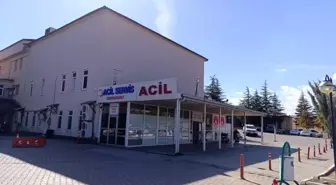 Arı Sokması Sonucu 9 Yaşındaki Kız Çocuğu Hayatını Kaybetti