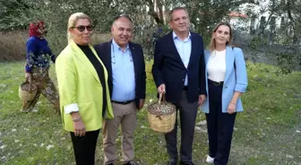 Ayvalık Ticaret Odası, Zeytin Hasadı ve İhracat Hedeflerini Açıkladı
