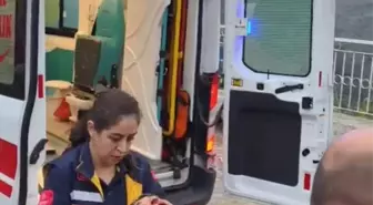 Nazilli'de Kamyonet Uçuruma Yuvarlandı: 3 Yaralı