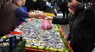 Bolu'da Hamsi Fiyatı 250 Liradan 150 Liraya Düştü
